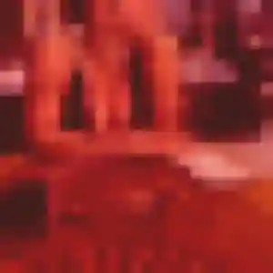 Contacte Malika, 42 ans à La Quinte gratuitement
