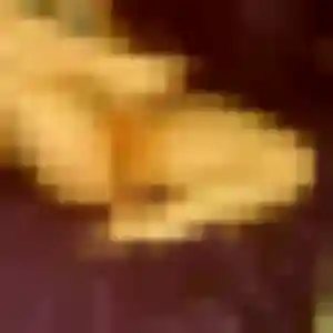 Photo de Ophélie à La Roche-de-Glun (31 ans) - plan cul anonyme