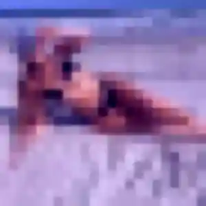 Contacte Émeline, 34 ans à La Romagne en privé