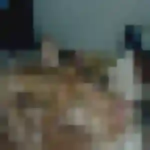 Sexy Sixtine, 22 ans à La Terrasse-sur-Dorlay - la contacter