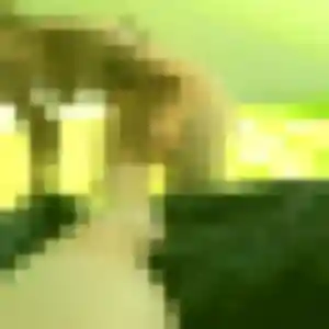 Cindy, femme de 29 ans propose plan cul à La Voivre