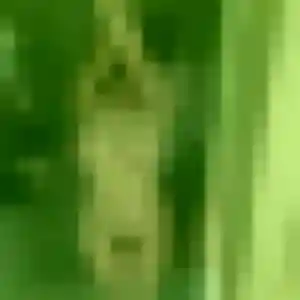 Jolie Sarah, 39 ans à Labessière-Candeil - découvrir son profil
