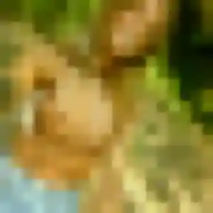 Arame, femme de 40 ans cherche plan cul à Laignelet