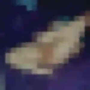 Téning, 23 ans, en ligne à Landéda pour une rencontre coquine