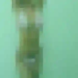 Profil de Arame à Langoiran (42 ans) - plan cul anonyme