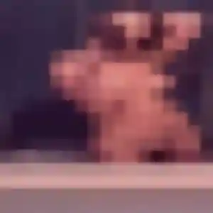 Sexy Delphine, 38 ans à Languidic - découvrir son profil