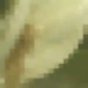 Photo privée de Amani, 28 ans à Lasbordes - plan discret