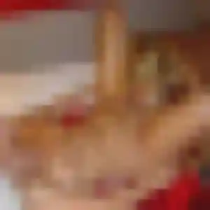 Axelle, 31 ans, dispo pour plan cul à Le Conquet