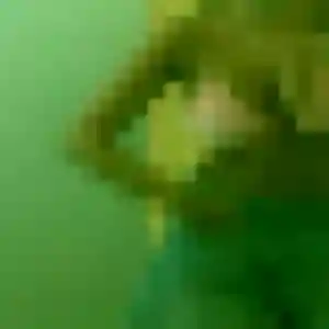 Profil de Solange à Le Coudray-Macouard (44 ans) - plan cul sans inscription
