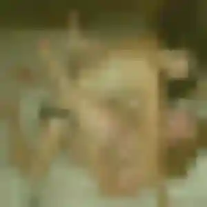 Astou, 35 ans, dispo pour plan cul à Le Faou