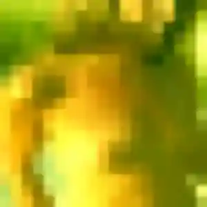 Profil de Abibatou à Le Horps (37 ans) - plan cul discret