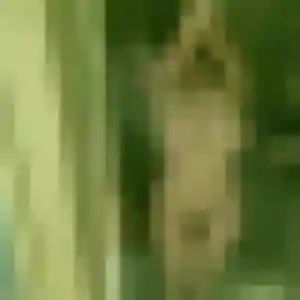 Photo sexy de Sarah, 34 ans à Le Lorey - rencontre coquine