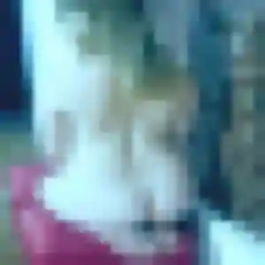 Photo exclusive de Inès, 38 ans à Le Mesnil-Théribus - plan discret