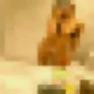 Rachida, 37 ans, connectée à Le Meux pour une rencontre coquine