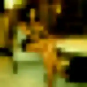 Photo perso de Bérénice, 34 ans à Le Rouget-Pers - rencontre coquine