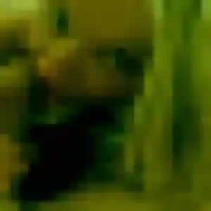 Photo privée de Faustine, 42 ans à Le Tholonet - rencontre sans lendemain