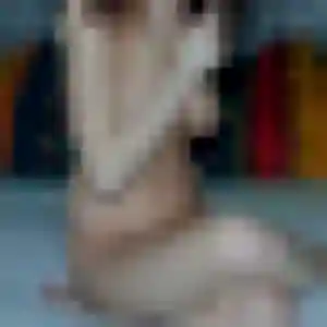 Photo privée de Mariame, 36 ans à Le Tronquay - plan discret