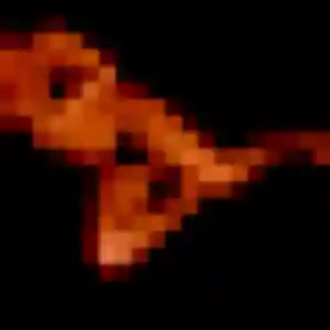 Jumoke (26 ans) à Le Vivier-sur-Mer propose un plan cul maintenant