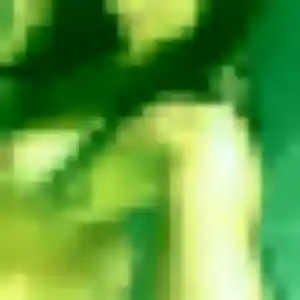 Photo de Korotoumou à Lembras (23 ans) - plan cul anonyme
