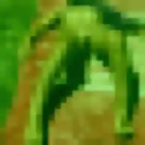 Photo de Yasmina à Les Mesneux (26 ans) - plan cul anonyme