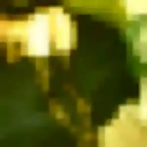 Profil de Bigué à Les Trois-Îlets (26 ans) - plan cul discret