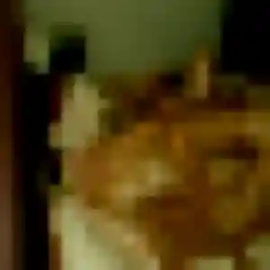 Photo perso de Lola, 45 ans à Les Velluire-sur-Vendée - rencontre coquine