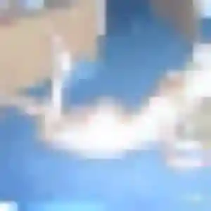 Maéva (35 ans) à Lesquin cherche un plan cul ce soir