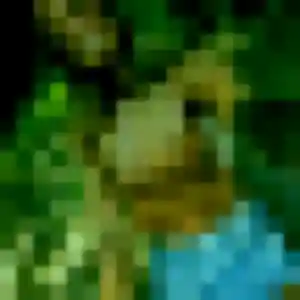 Photo de Yasmina à Lexy (24 ans) - plan cul anonyme