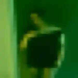 Photo de Tatu à Linguizzetta (25 ans) - plan cul sans inscription