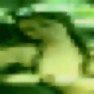 Abena, 36 ans, dispo pour plan cul à Lorgies