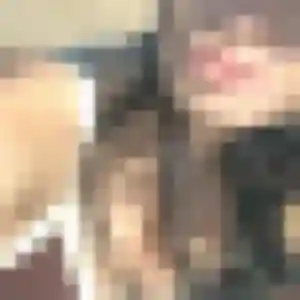 Sonia, 45 ans, disponible à Lorquin pour un plan cul