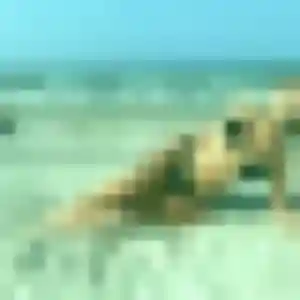 Jolie Xénia, 32 ans à Louailles - voir sa photo