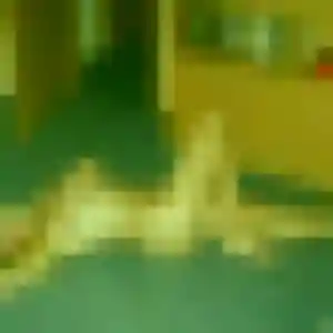 Photo de Ramata à Louchats (31 ans) - plan cul gratuit