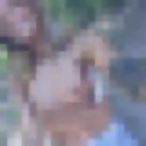 Vanessa (23 ans) à Lourches propose une rencontre aujourd'hui