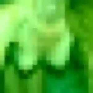 Photo de Mariama à Lucéram (32 ans) - plan cul anonyme