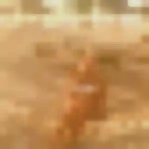 Constance, fille de 44 ans cherche plan cul à Luisant