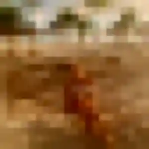 Photo de Yankuba à Lumbin (41 ans) - plan cul discret