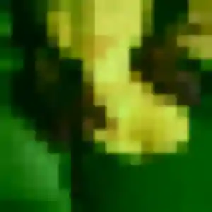 Photo exclusive de Nyambura, 42 ans à Lys-Haut-Layon - plan discret