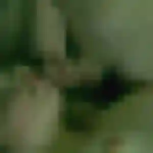Titi, 22 ans, connectée à Magné pour une rencontre coquine