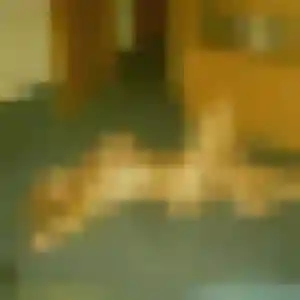 Sexy Sixtine, 26 ans à Magnicourt-en-Comte - voir sa photo