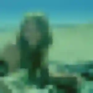 Yaa, 25 ans, cherche un plan cul à Maillé