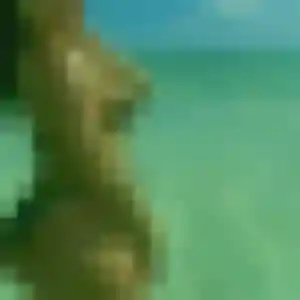 Penda, 42 ans, connectée à Malville pour un plan cul