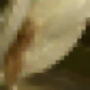 Assétou, 26 ans, en ligne à Manom pour une rencontre coquine