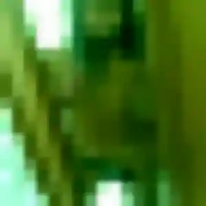 Photo de Hadija à Marcillac-la-Croisille (23 ans) - plan cul anonyme
