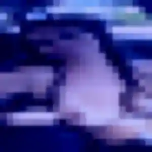 Photo privée de Yolène, 33 ans à Marennes-Hiers-Brouage - plan discret