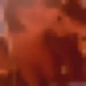 Photo de Zara à Mareuil-le-Port (39 ans) - plan cul anonyme