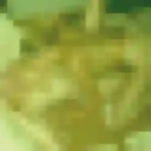 Photo de Célestine à Margès (30 ans) - plan cul gratuit