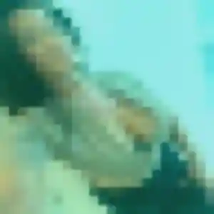 Photo de Naëlle à Marpiré (23 ans) - plan cul gratuit