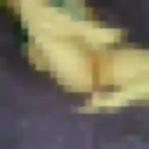 Nicole, 40 ans, en ligne à Marseillan pour une rencontre coquine