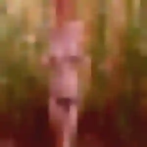 Madeleine, fille de 44 ans cherche plan cul à Martillac